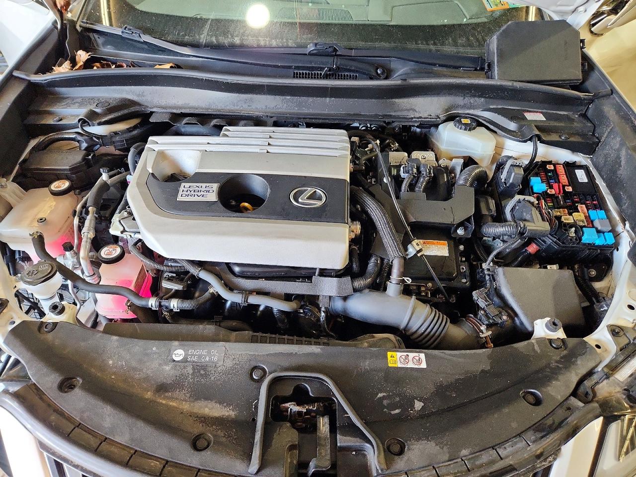 2019 LEXUS UX 250H photo 34