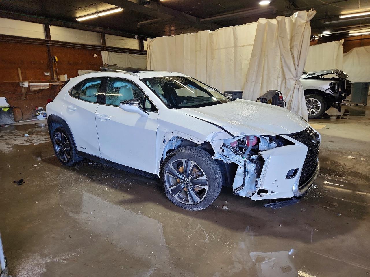2019 LEXUS UX 250H photo 10
