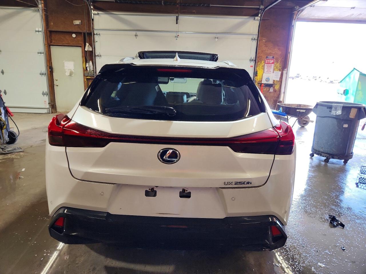 2019 LEXUS UX 250H photo 16