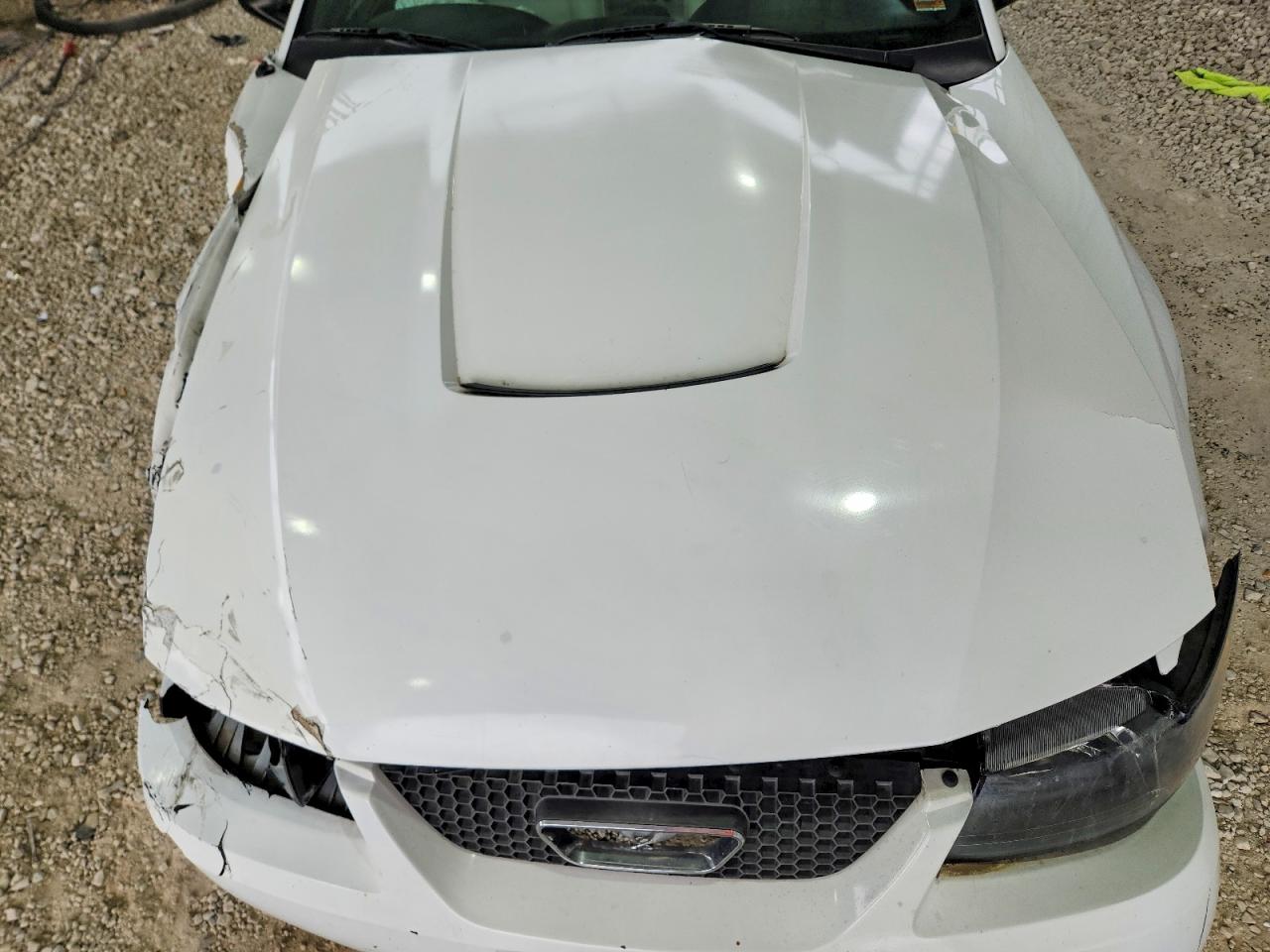 2004 FORD MUSTANG photo 11