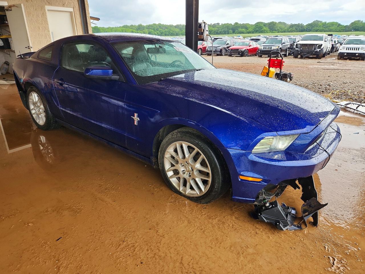 2013 FORD MUSTANG photo 10