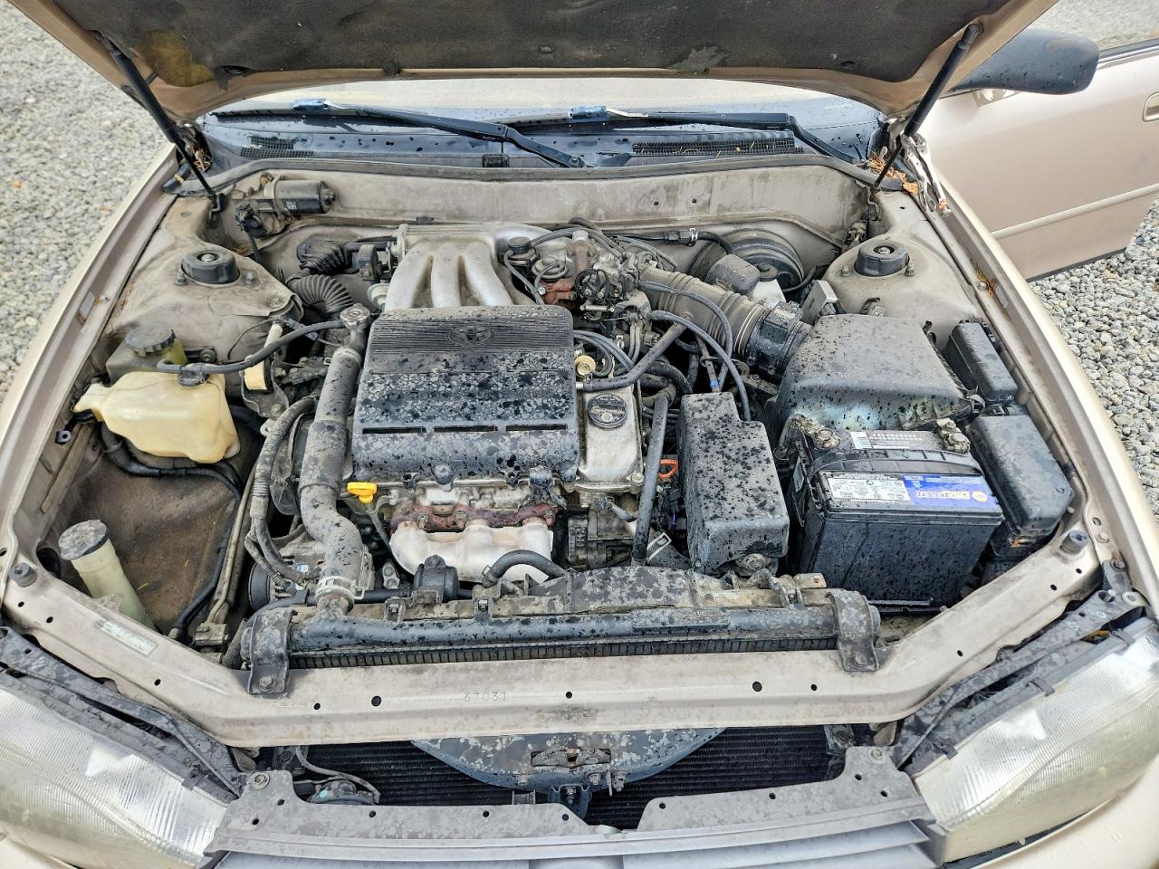 1994 TOYOTA CAMRY LE photo 11