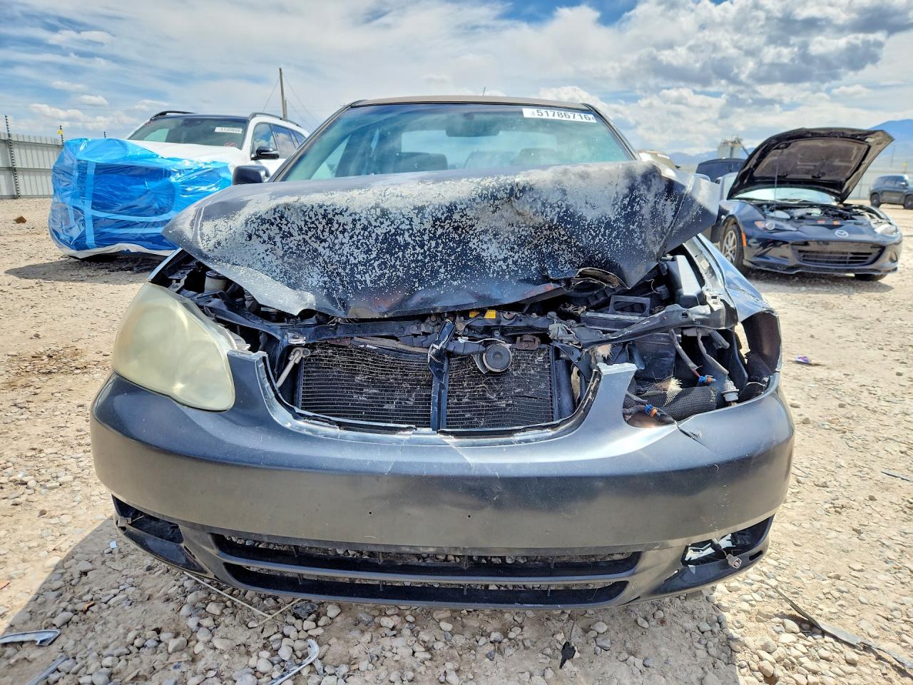2003 TOYOTA COROLLA S photo 9