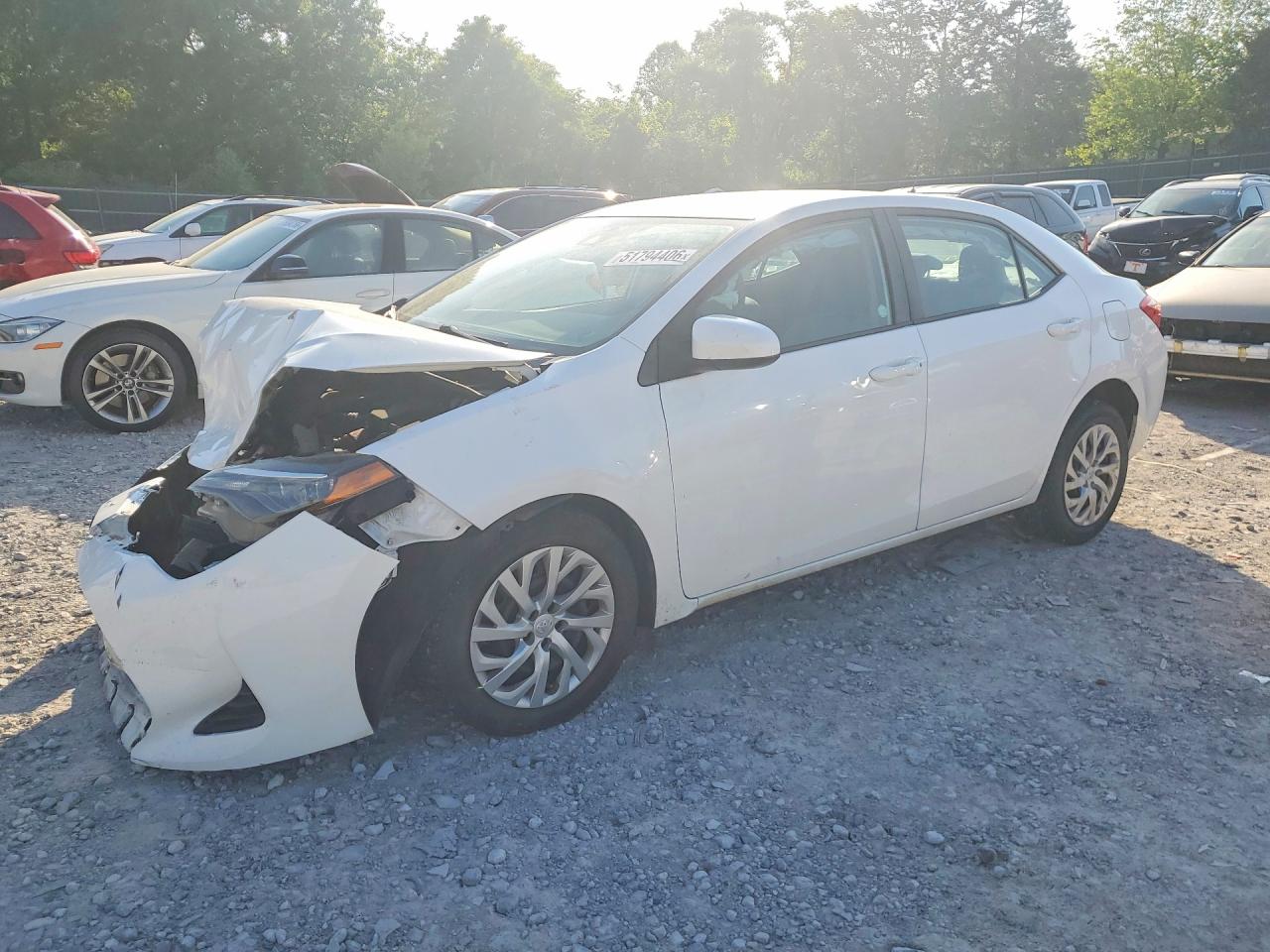 2019 TOYOTA COROLLA