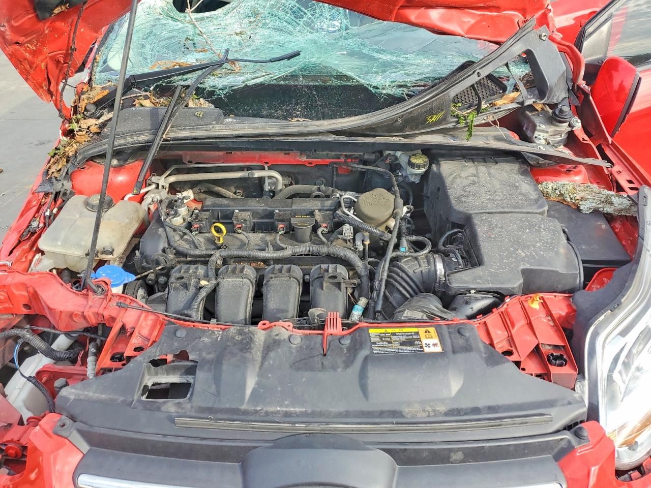 2014 FORD FOCUS SE photo 21