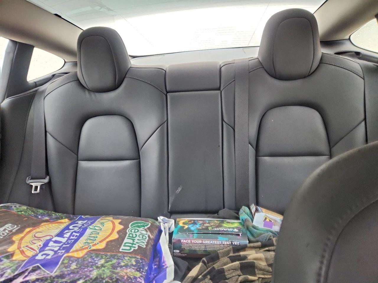 2022 TESLA MODEL 3 photo 19