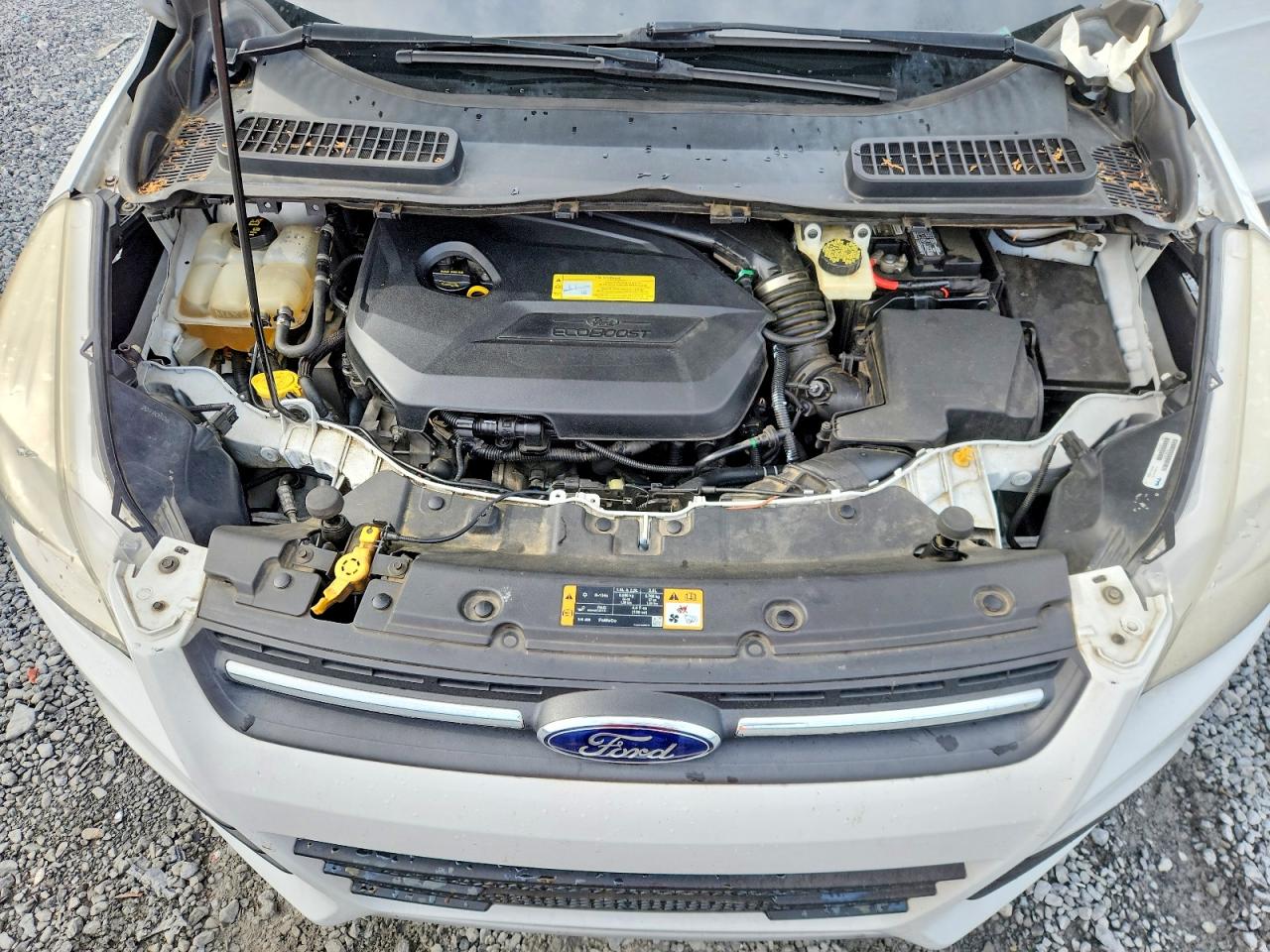 2014 FORD ESCAPE SE photo 23