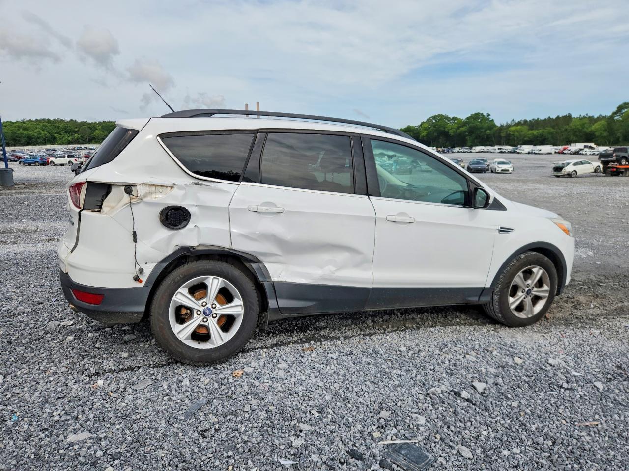 2014 FORD ESCAPE SE photo 5