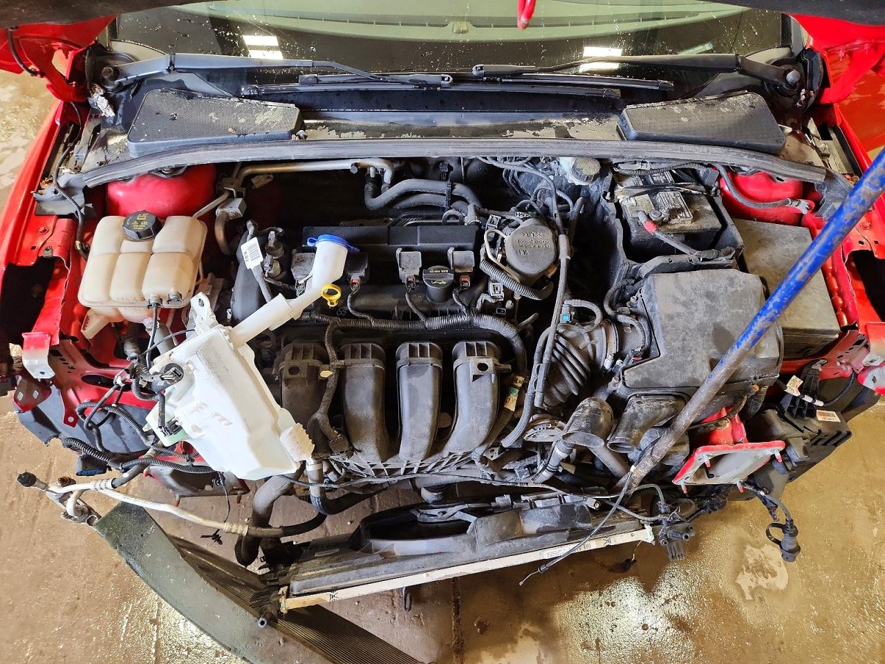 2014 FORD FOCUS SE photo 11