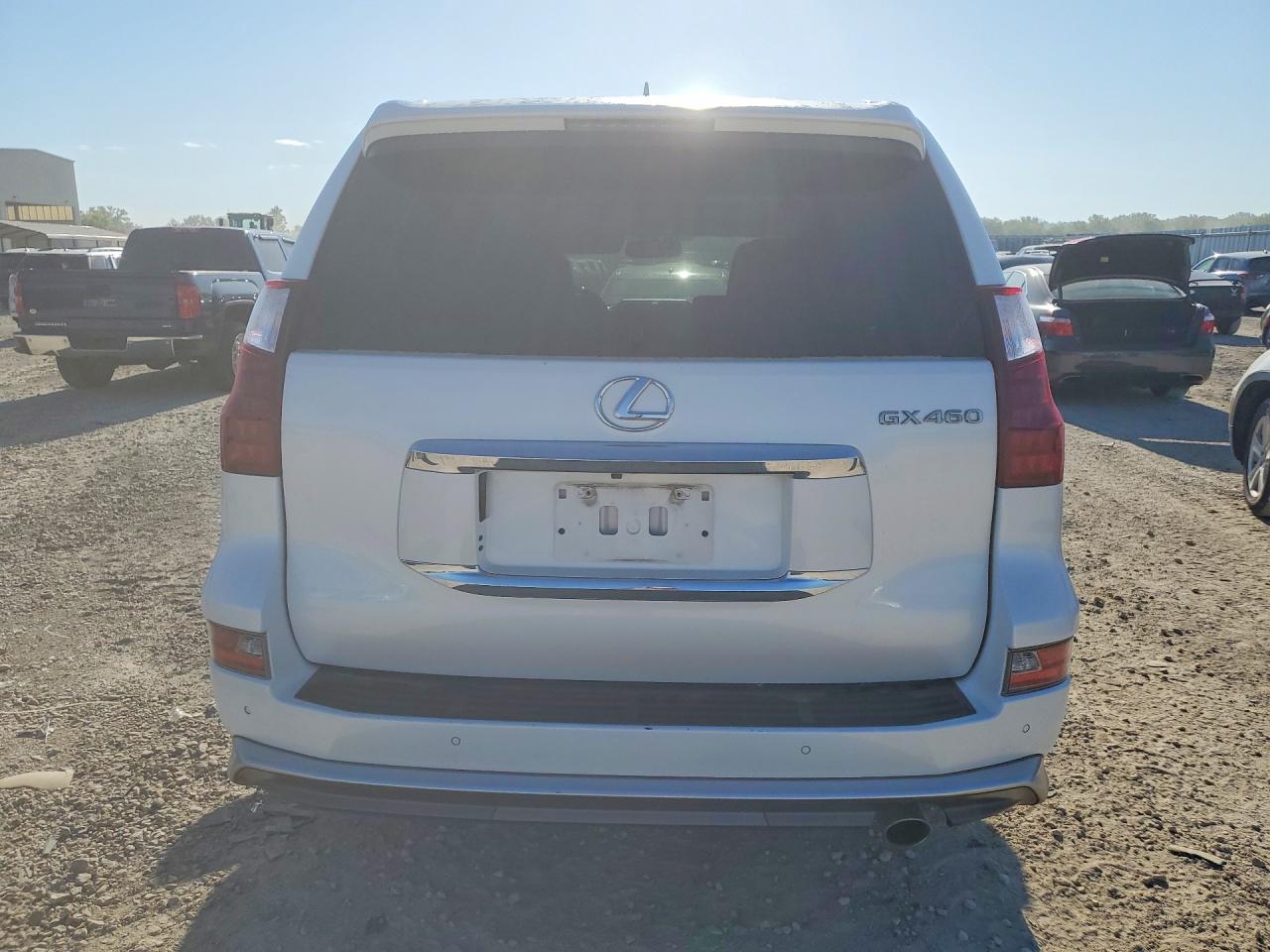2018 LEXUS GX 460 photo 11