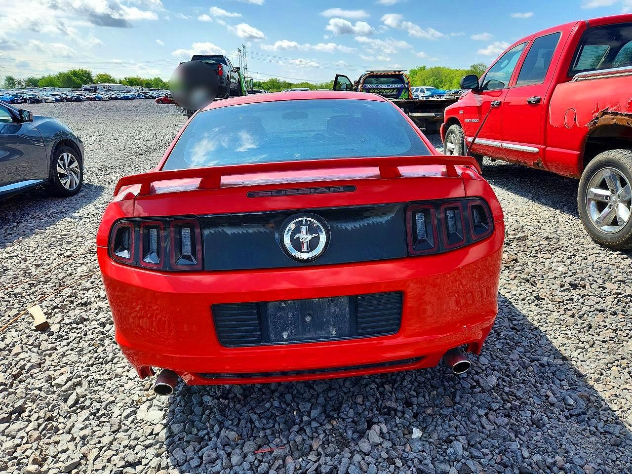 2014 FORD MUSTANG photo 16