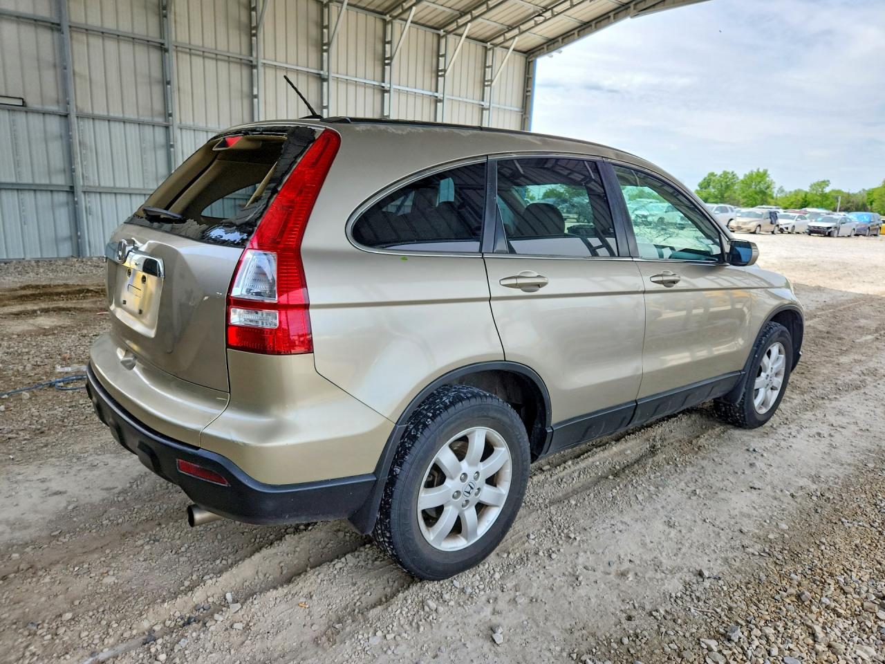 2009 HONDA CR-V EXL photo 5