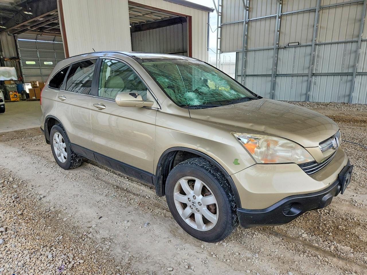 2009 HONDA CR-V EXL photo 7