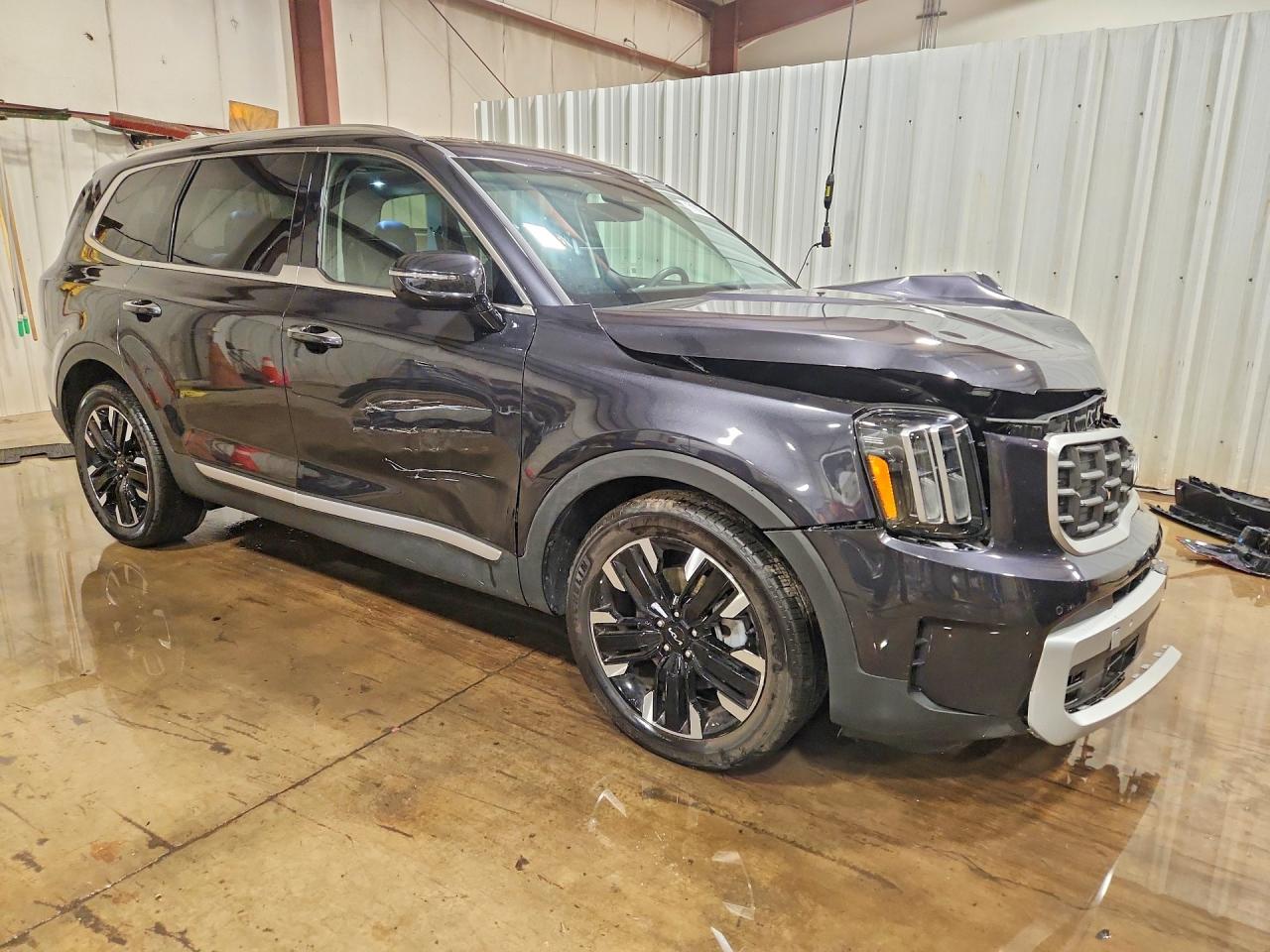2025 KIA TELLURIDE SX-PRESTIGE photo 10