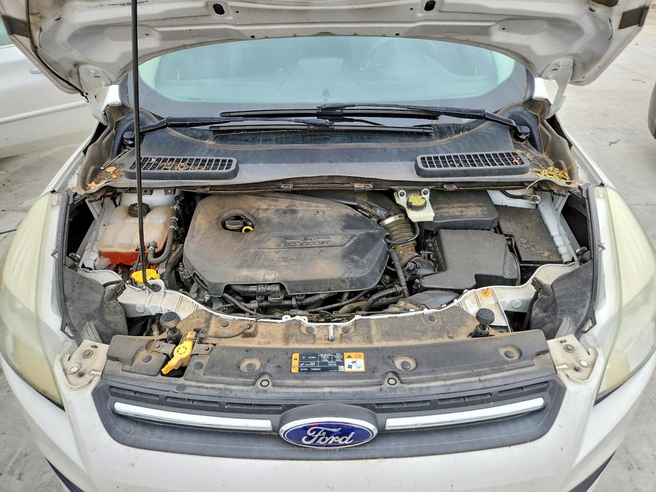 2014 FORD ESCAPE SE photo 23