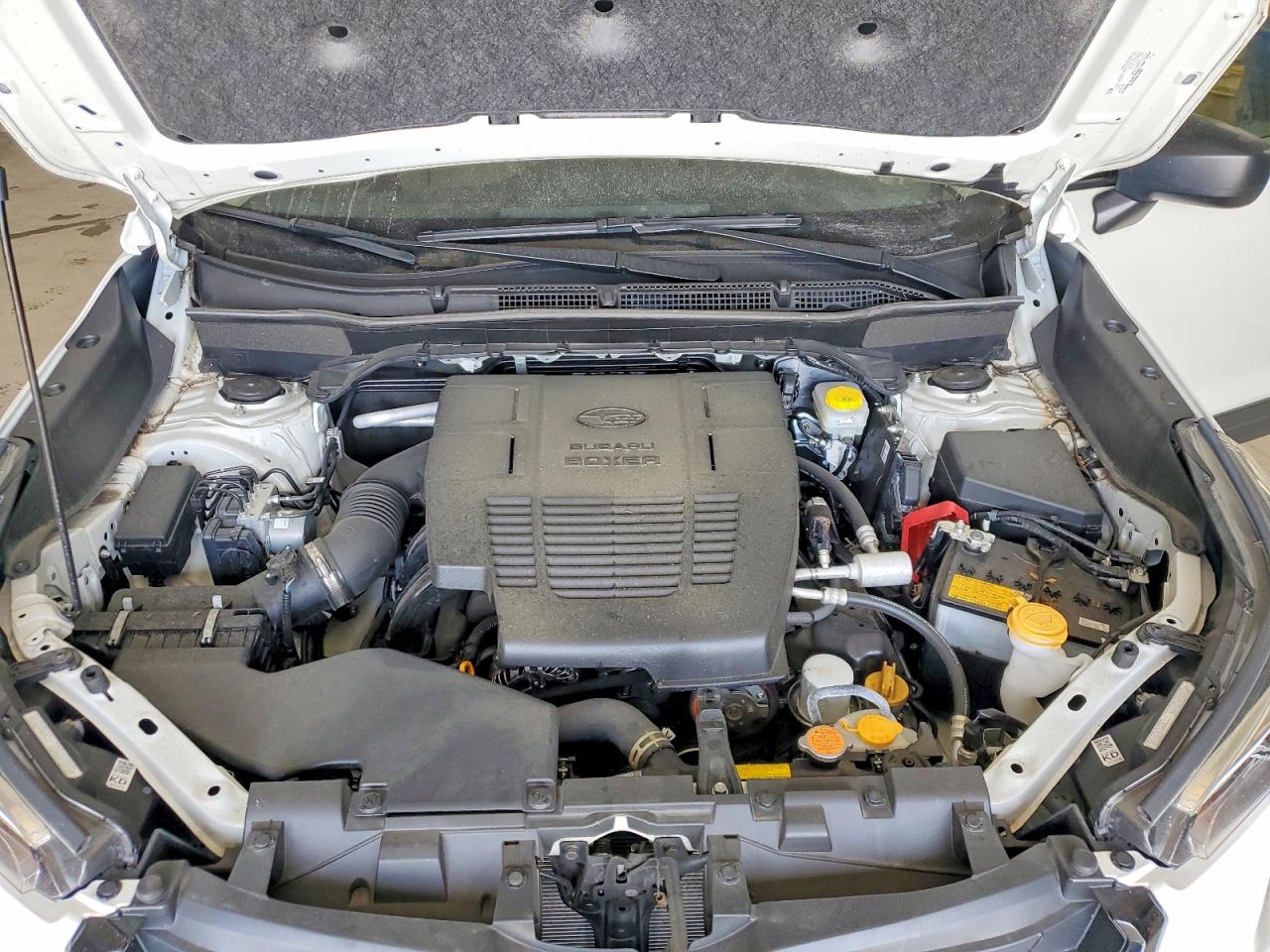 2024 SUBARU FORESTER photo 12