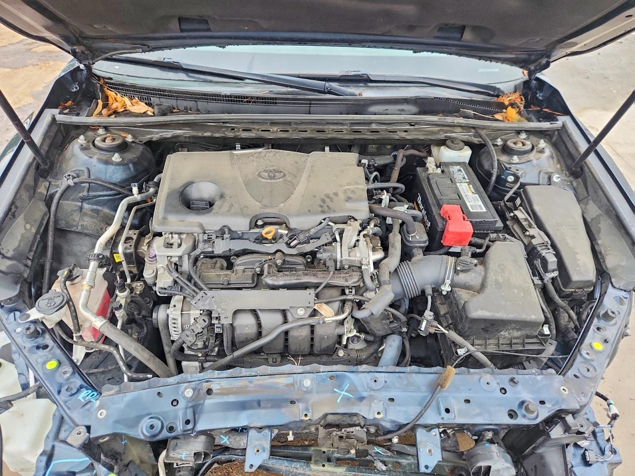 2019 TOYOTA CAMRY LE photo 11