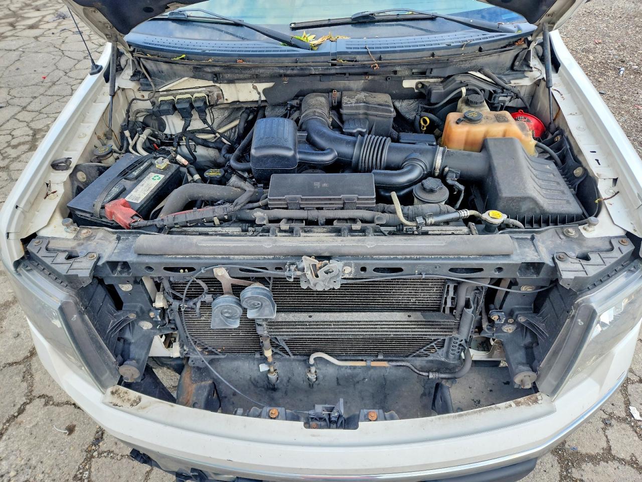 2010 FORD F150 SUPERCREW photo 21
