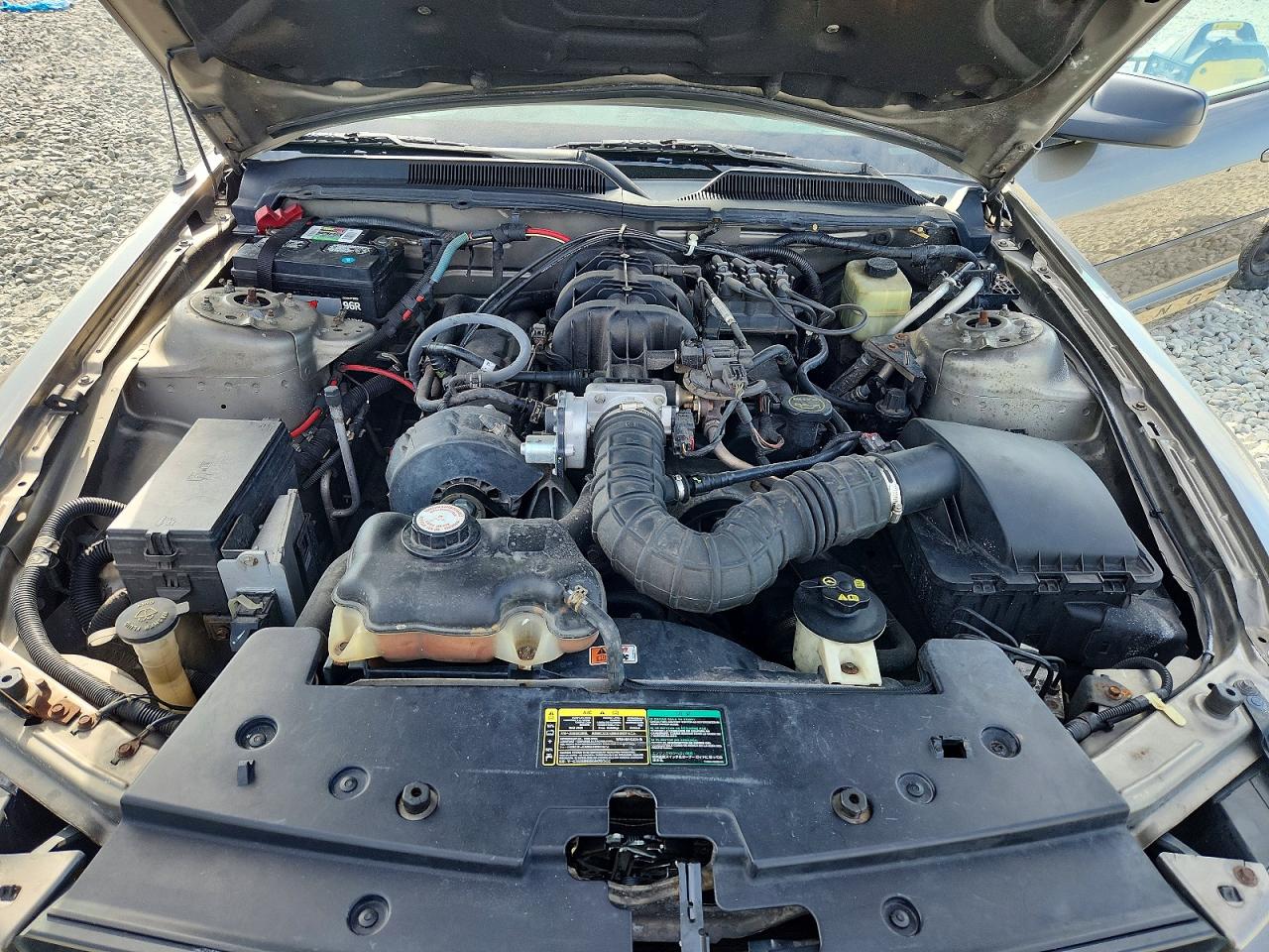 2005 FORD MUSTANG photo 11