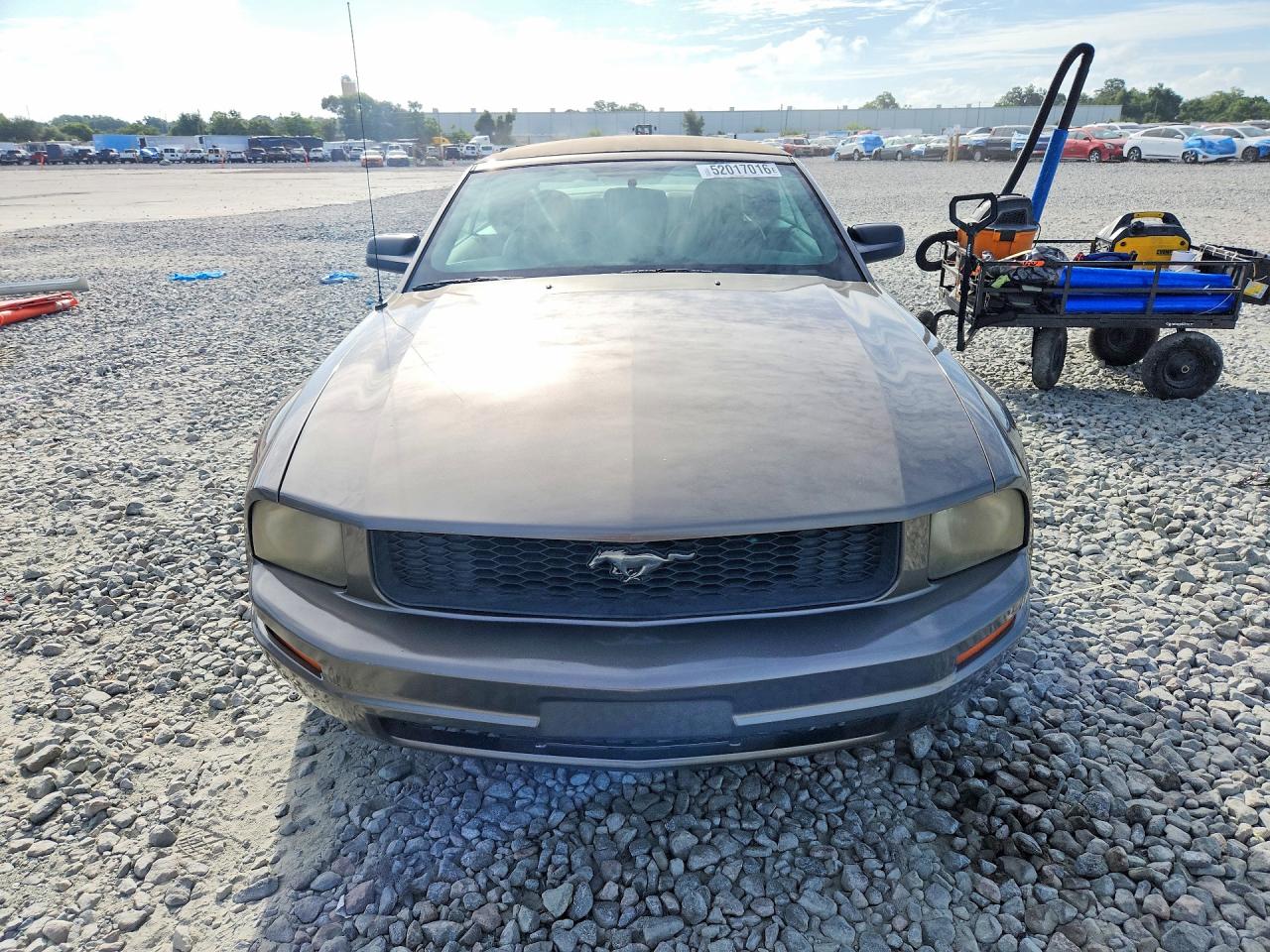 2005 FORD MUSTANG photo 5
