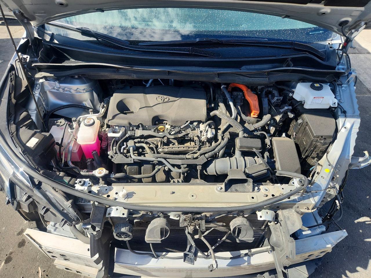 2022 TOYOTA SIENNA LE photo 12