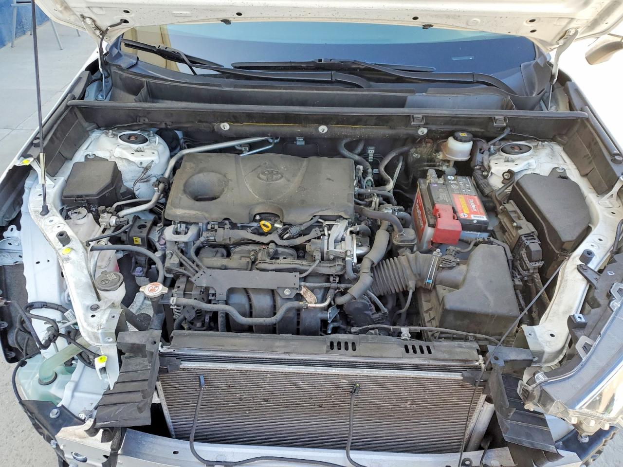 2019 TOYOTA RAV4 XLE photo 23