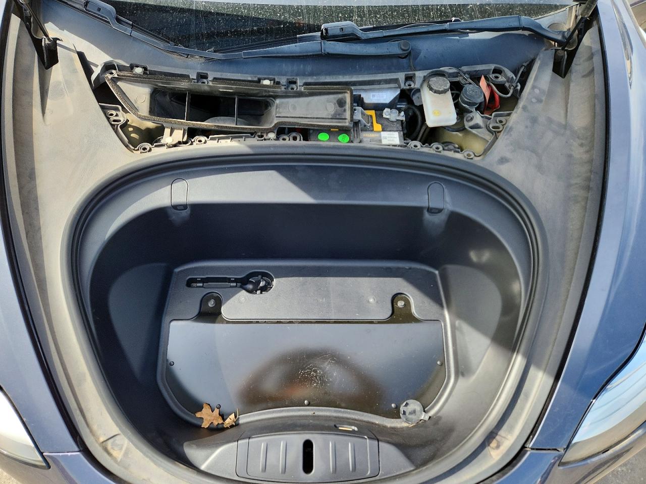 2019 TESLA MODEL 3 photo 31