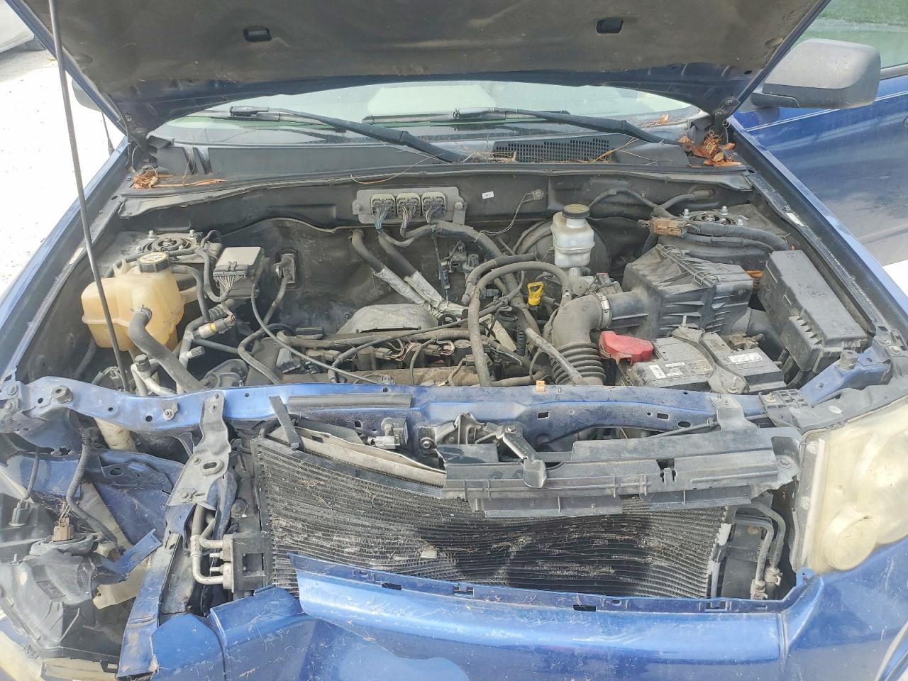 2008 FORD ESCAPE XLT photo 34