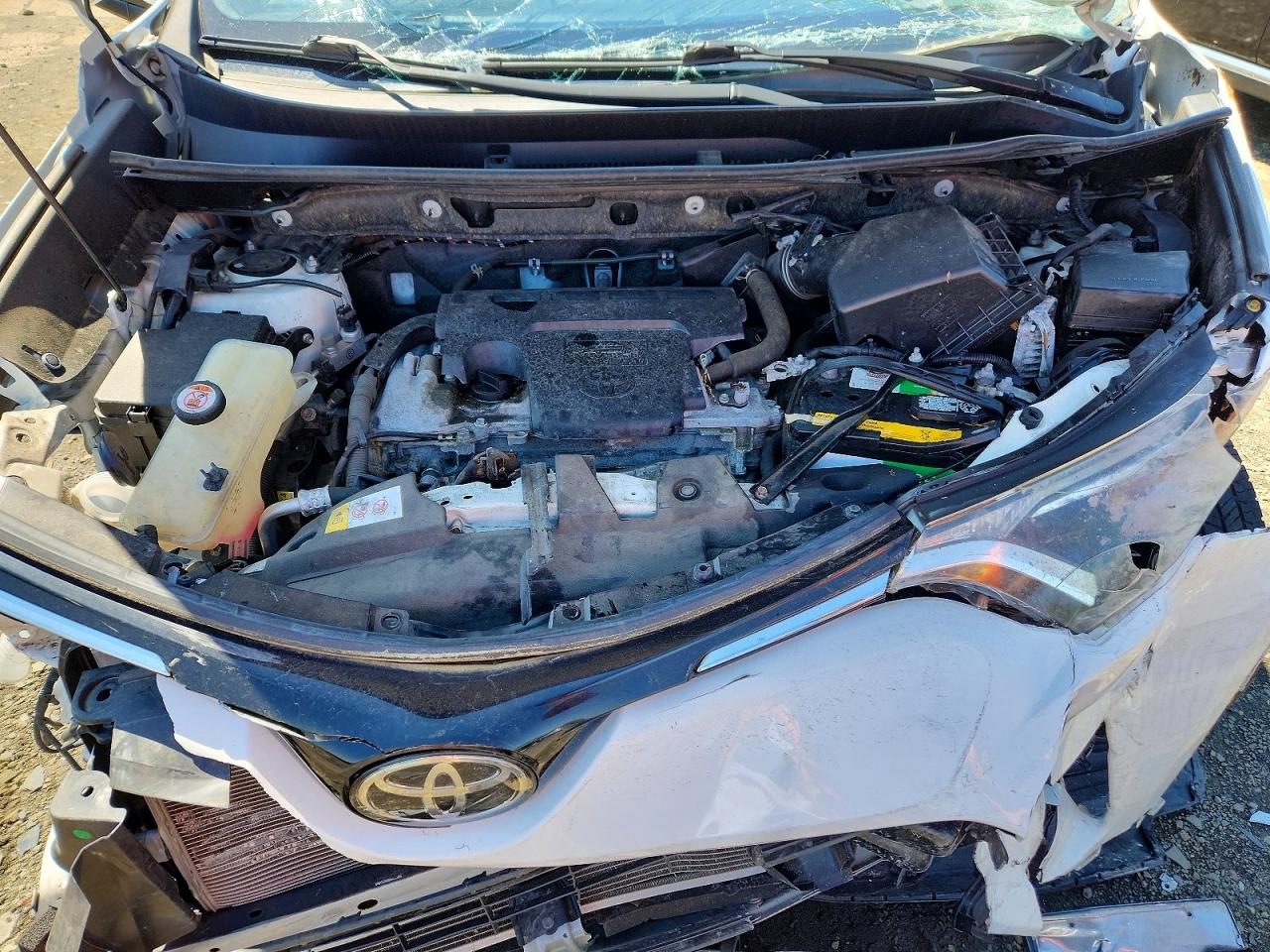 2018 TOYOTA RAV4 XLE photo 23