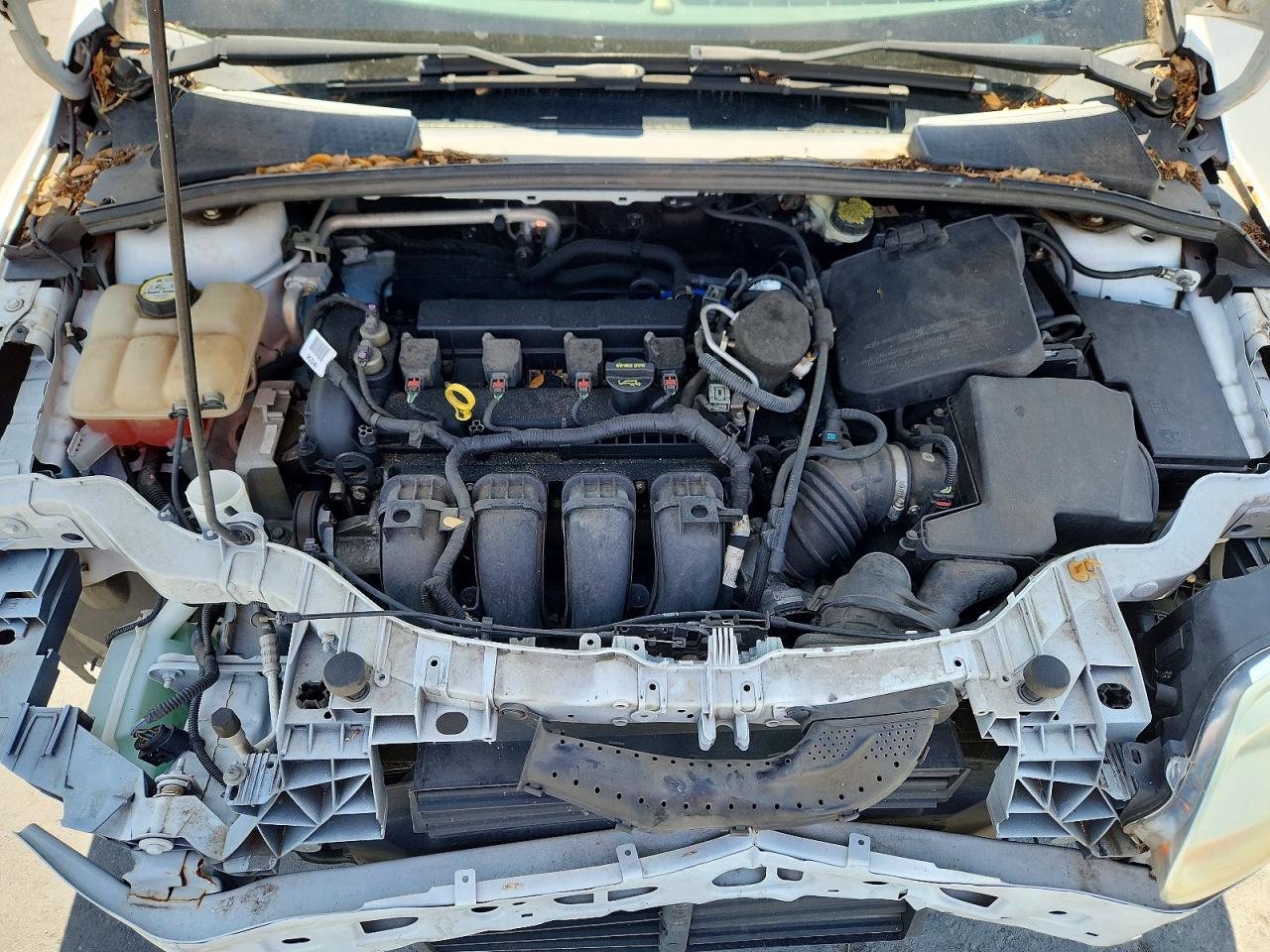 2014 FORD FOCUS SE photo 31