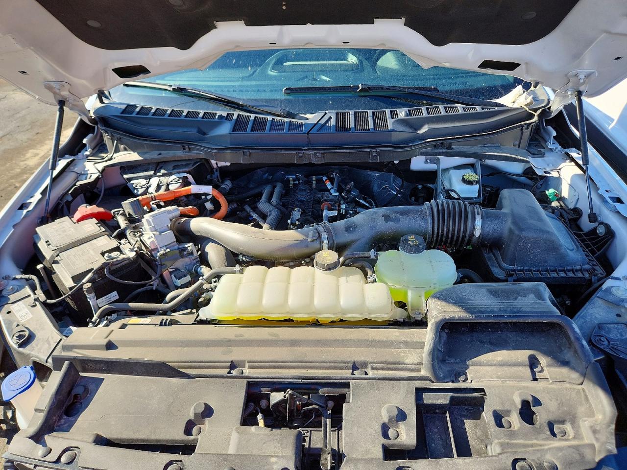 2025 FORD F150 XLT photo 21