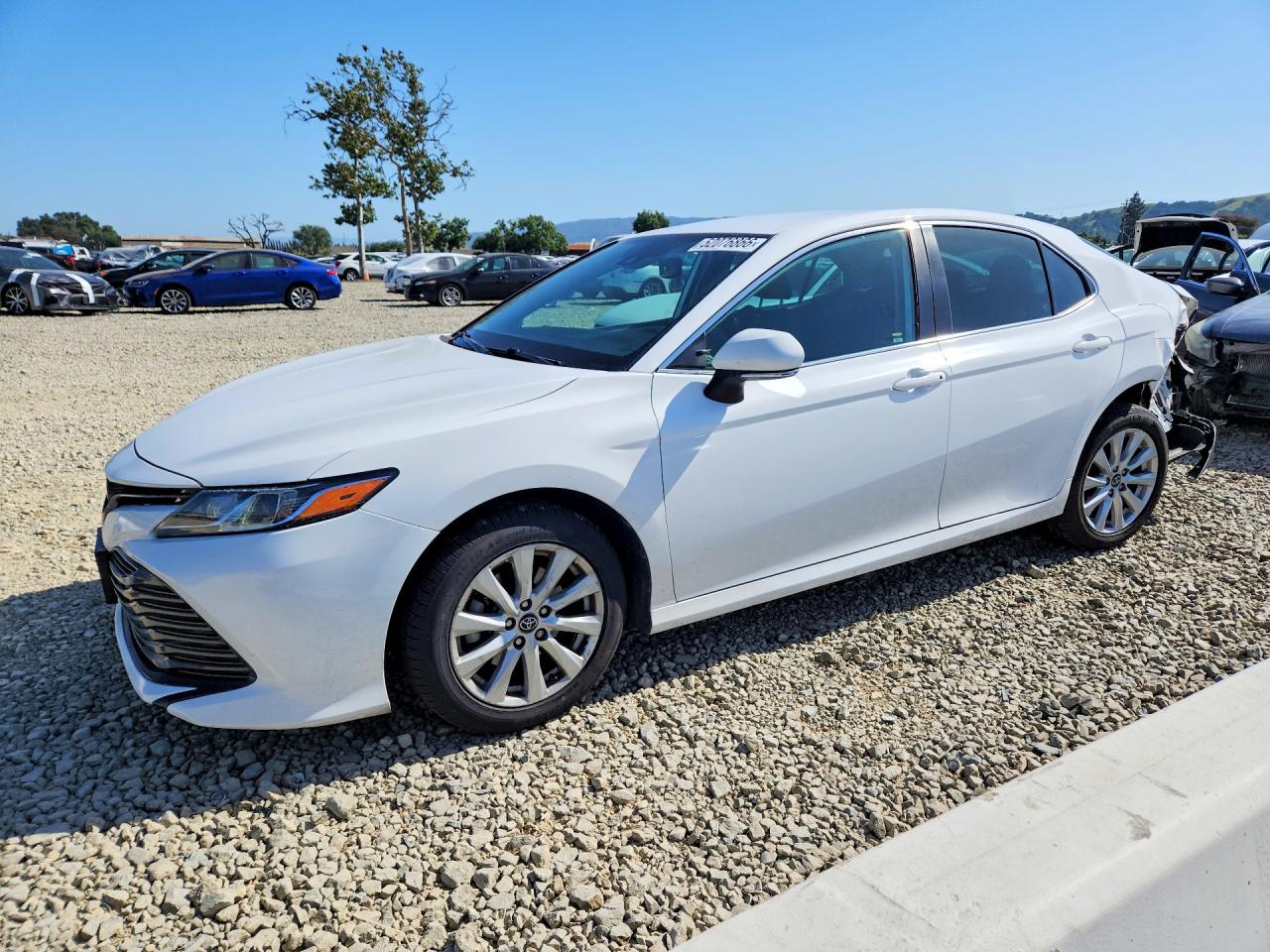 2019 TOYOTA CAMRY