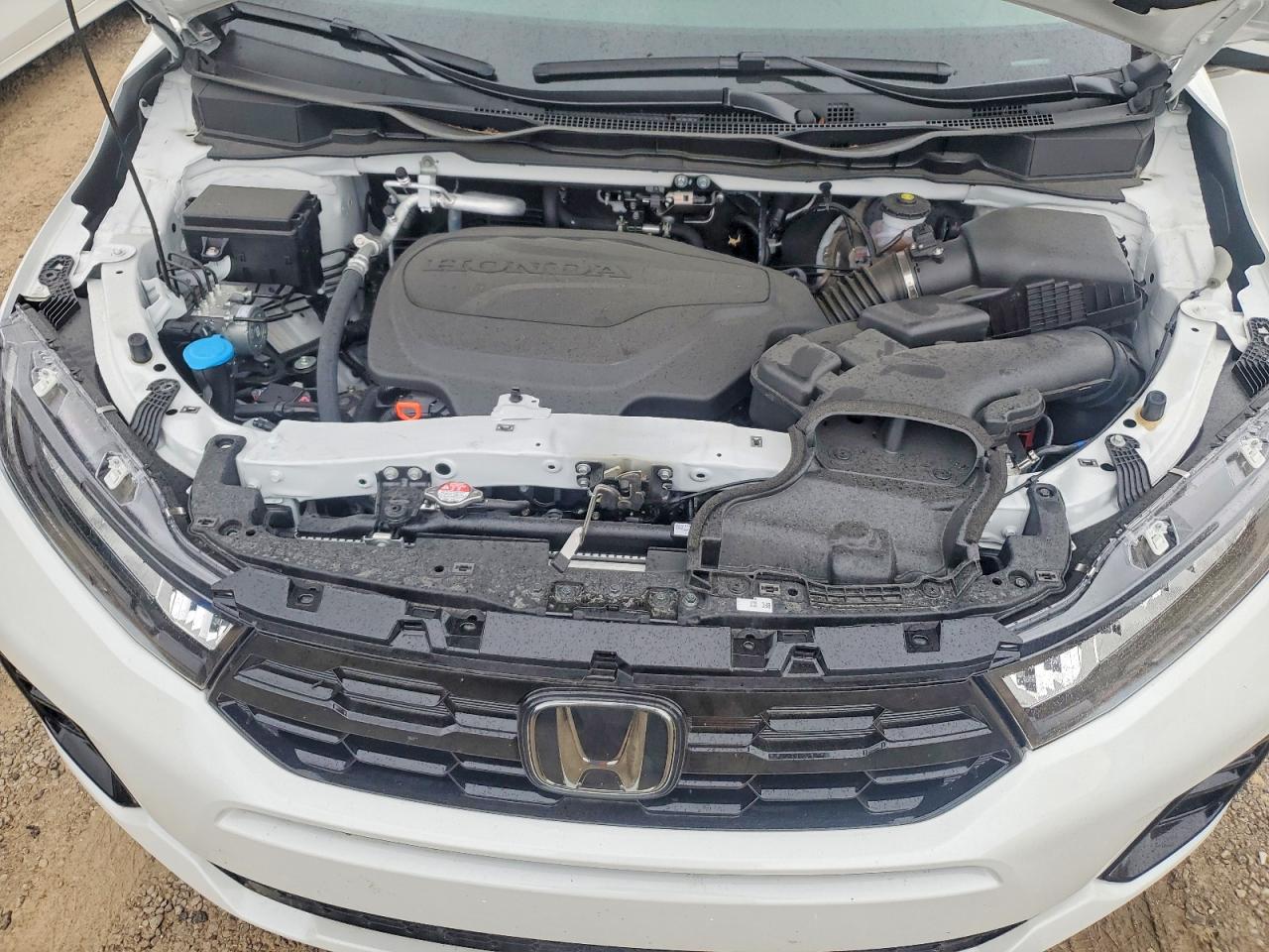2026 HONDA ODYSSEY ELITE photo 12