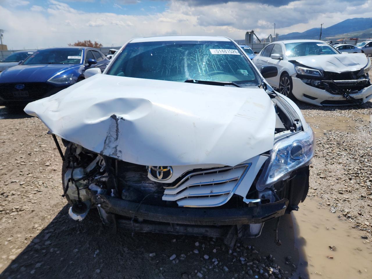 2010 TOYOTA CAMRY XLE photo 9