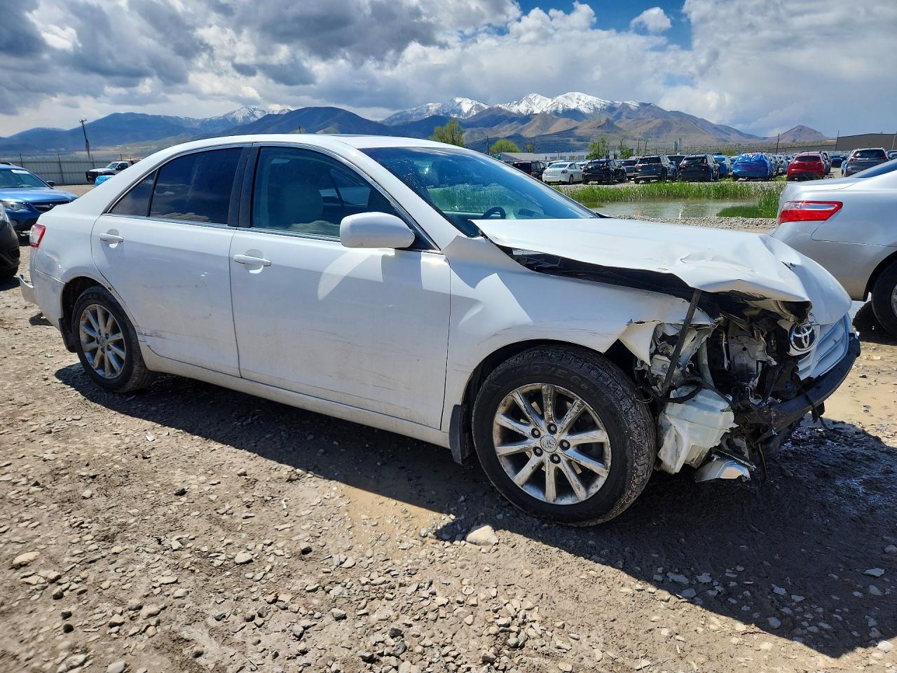 2010 TOYOTA CAMRY XLE photo 7