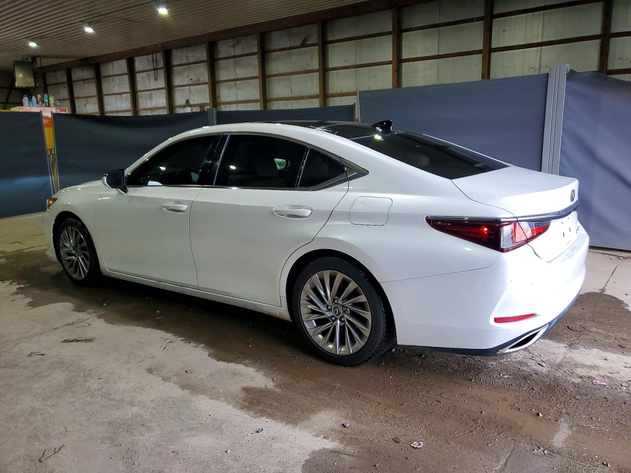 2019 LEXUS ES 350 photo 4