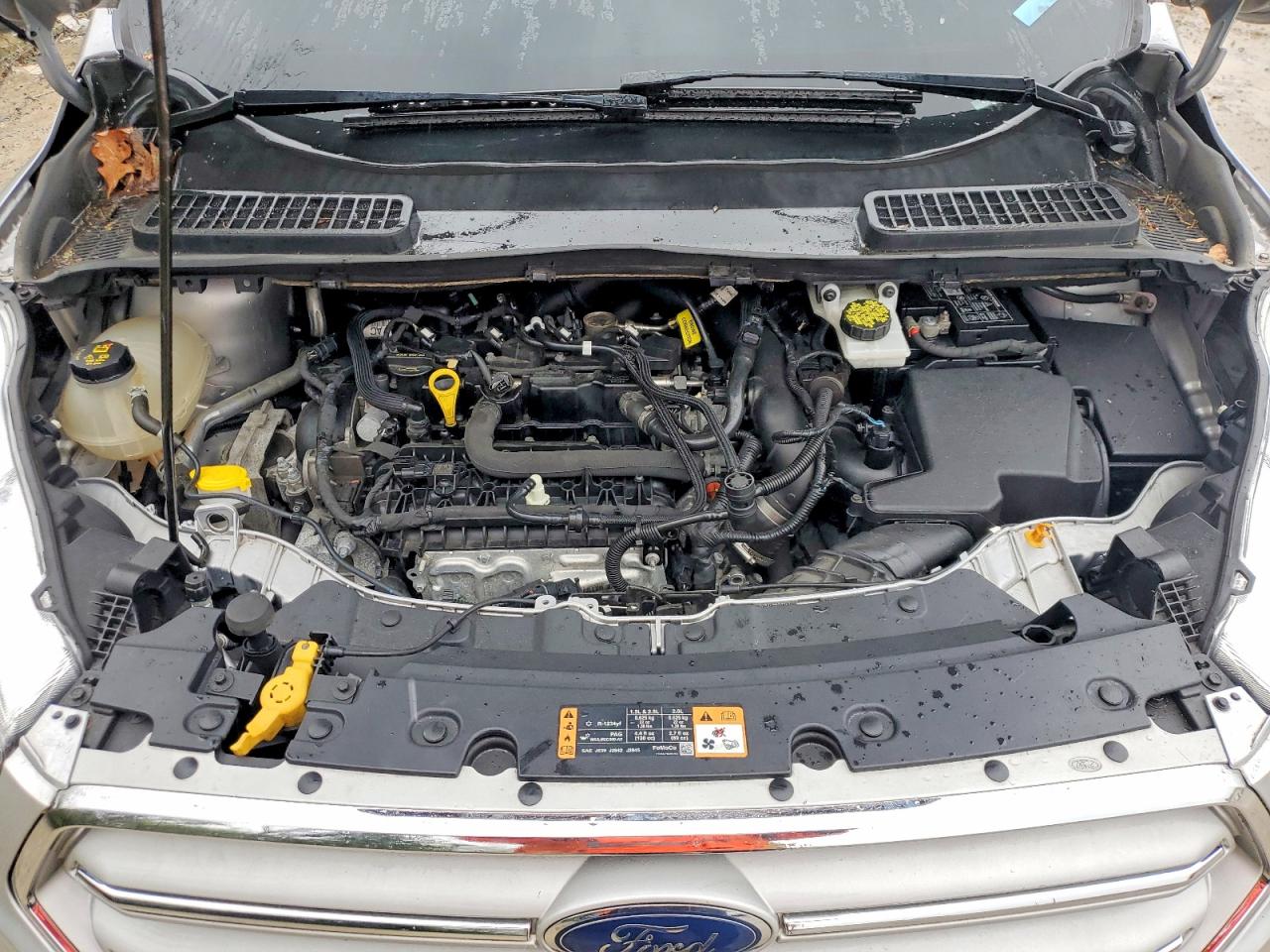 2019 FORD ESCAPE SE photo 34