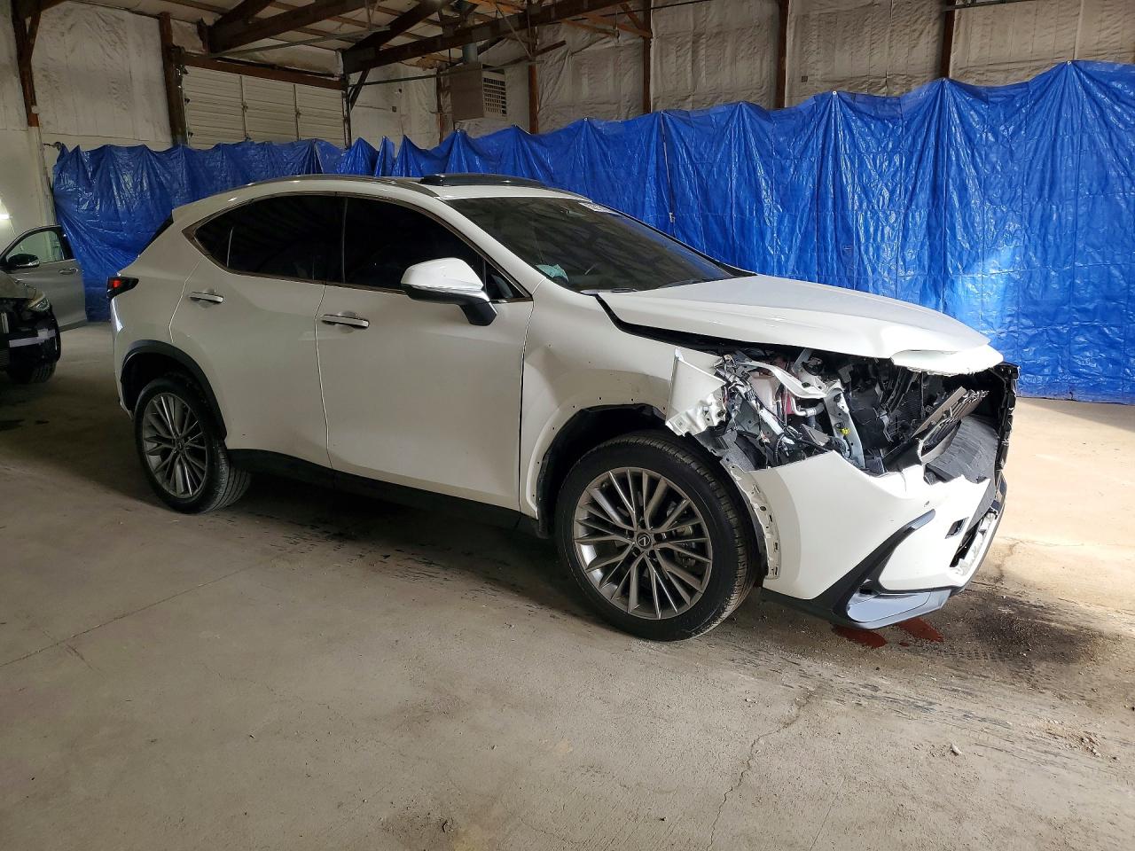 2023 LEXUS NX 350 photo 10