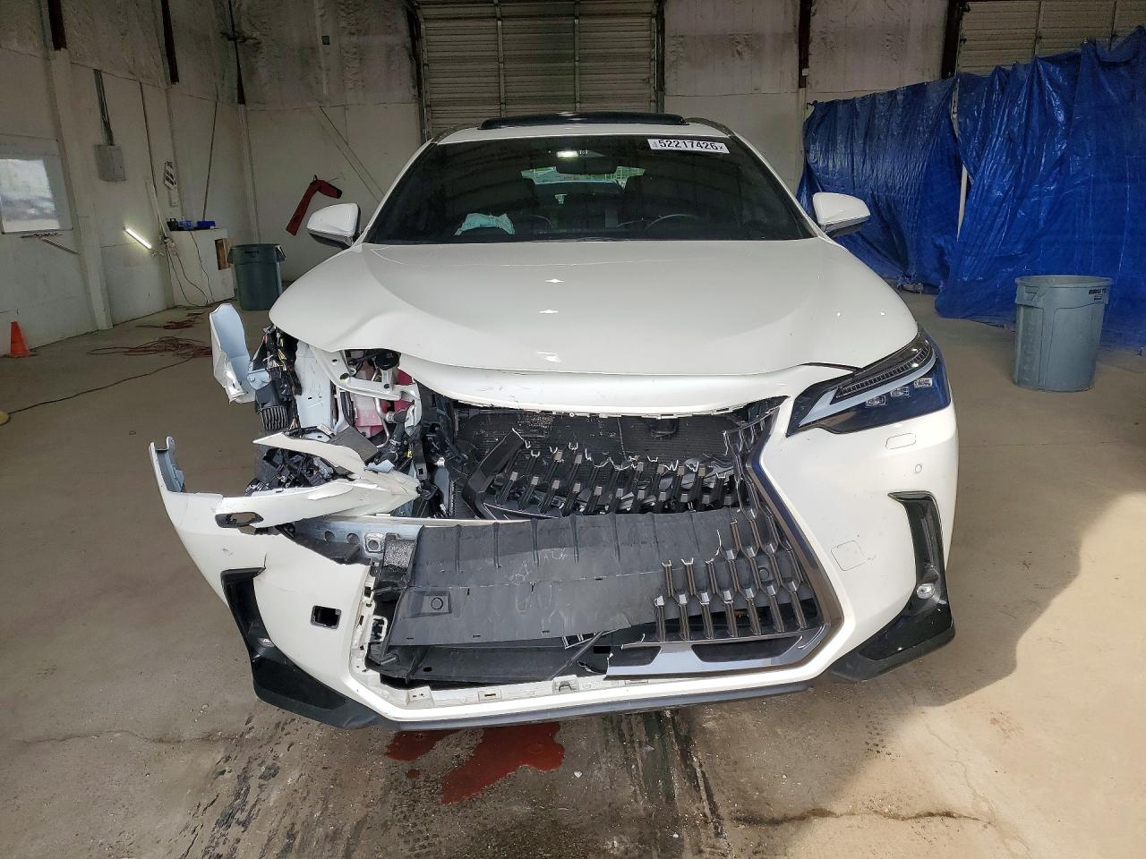 2023 LEXUS NX 350 photo 13