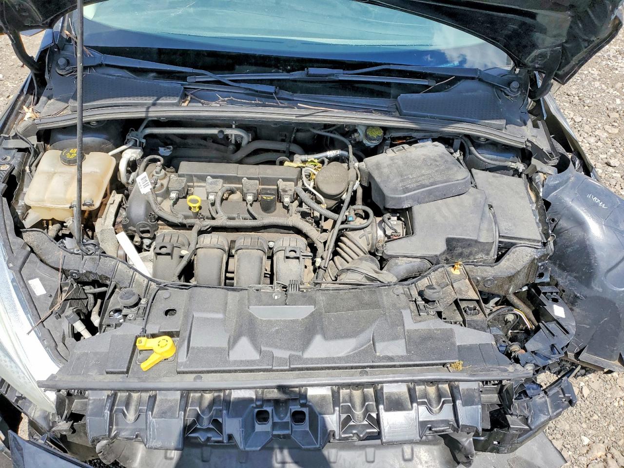 2015 FORD FOCUS SE photo 21