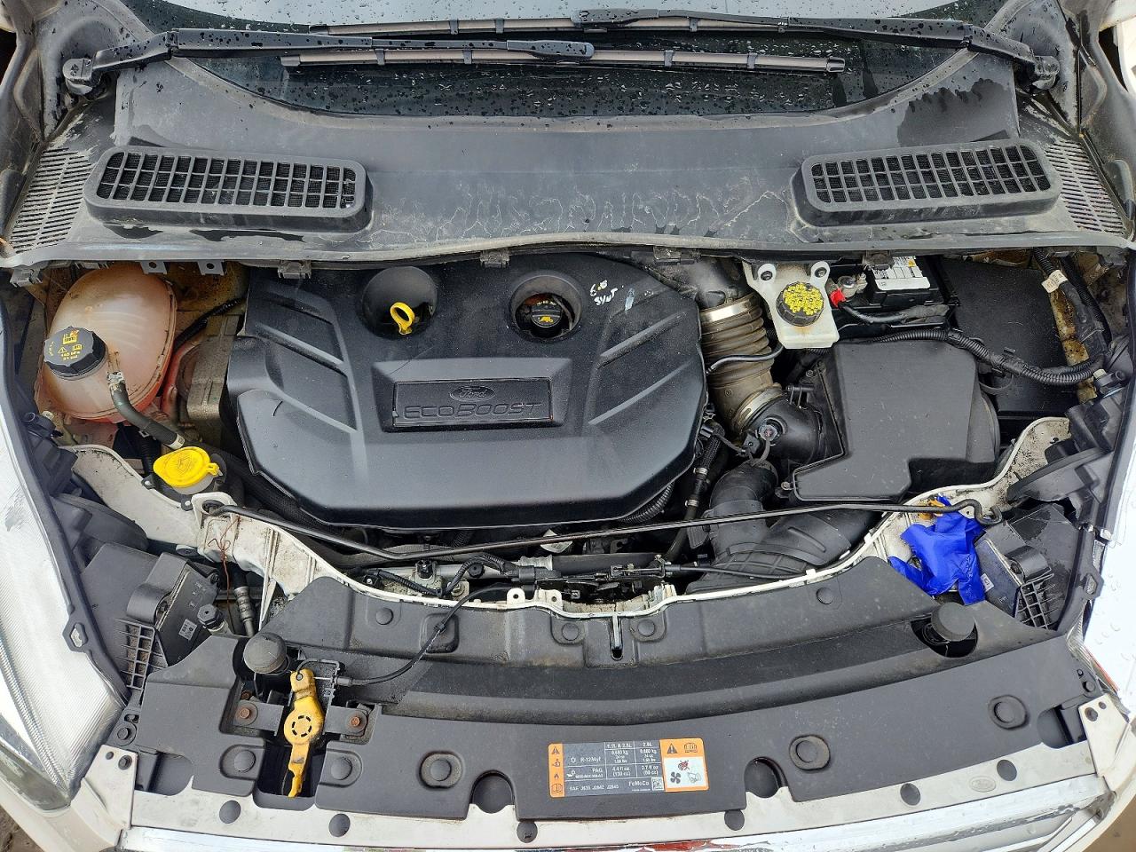2017 FORD ESCAPE SE photo 31