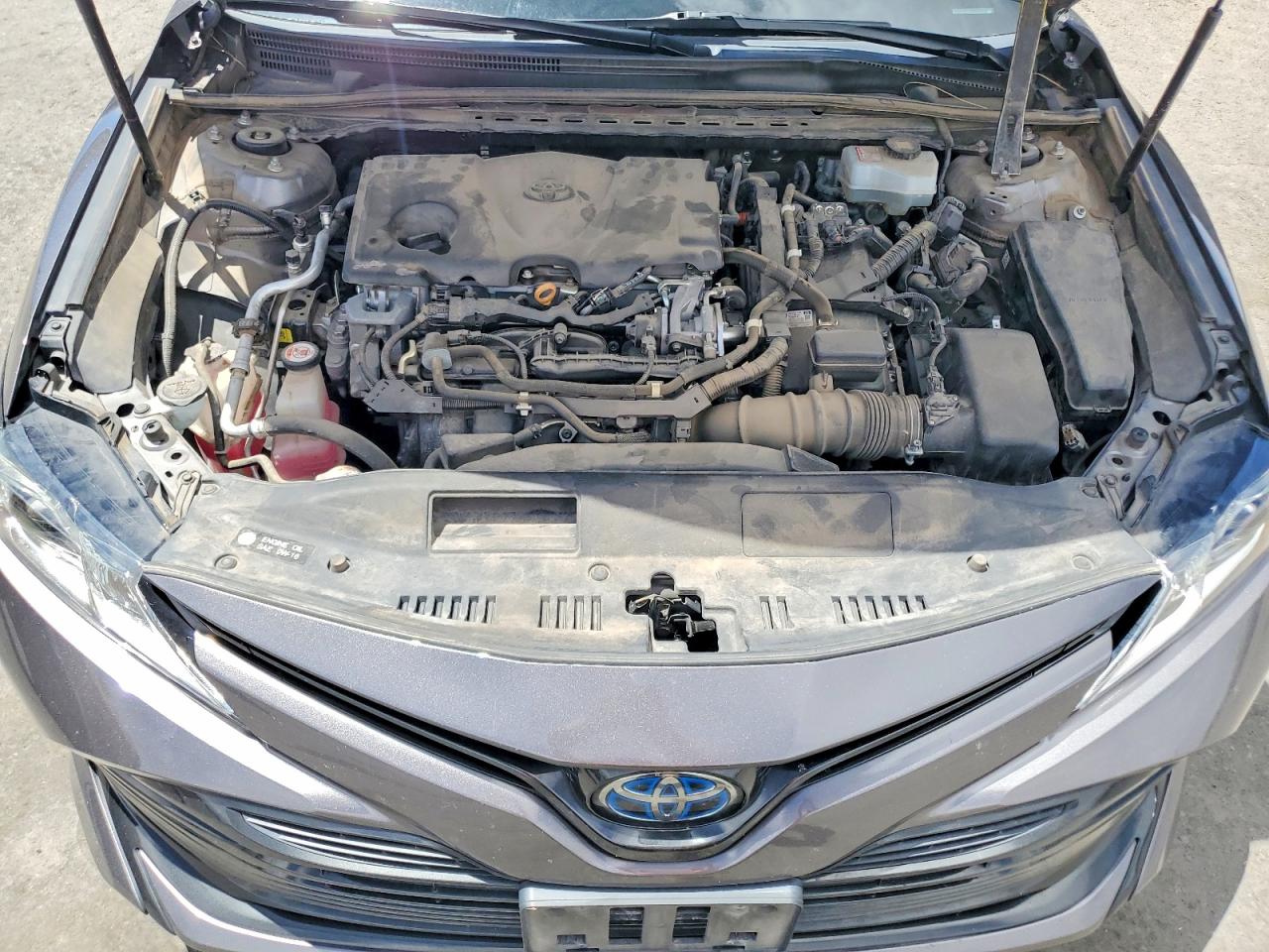 2019 TOYOTA CAMRY LE photo 11
