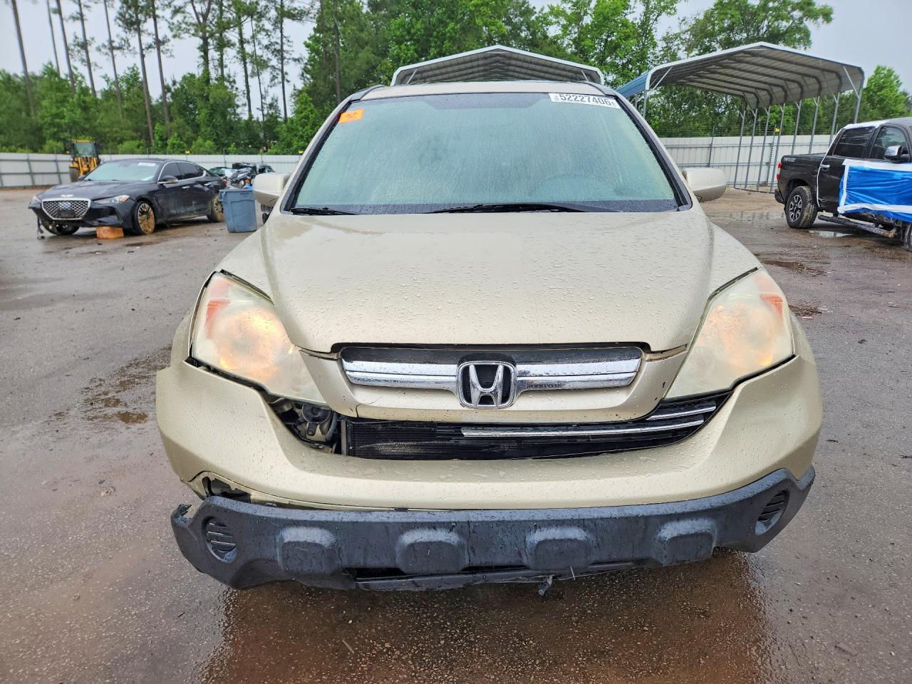 2009 HONDA CR-V EXL photo 5