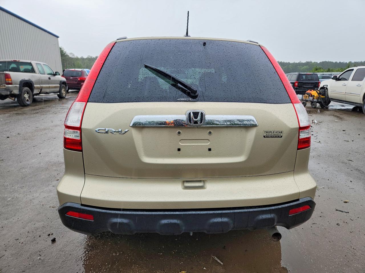 2009 HONDA CR-V EXL photo 6