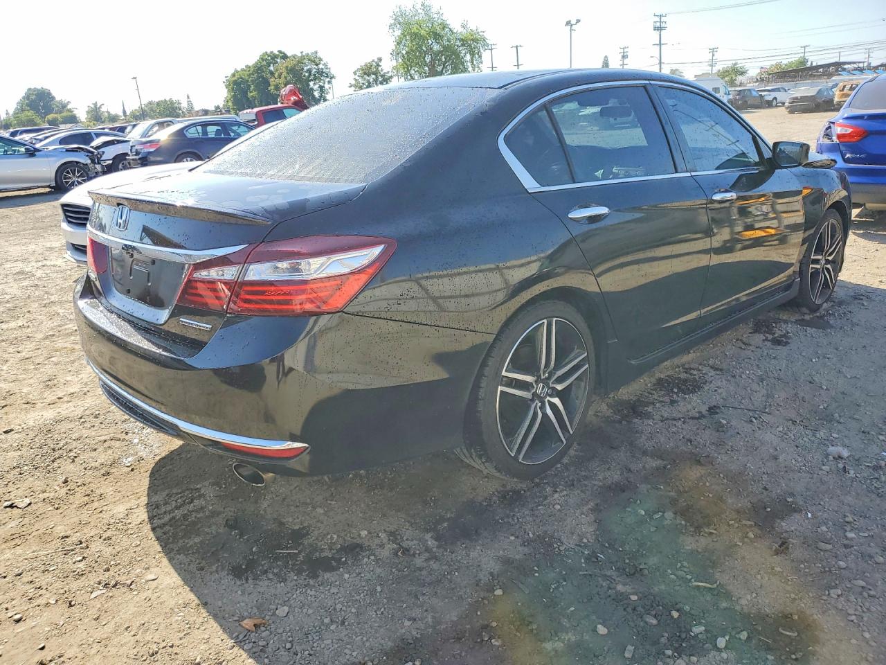 2017 HONDA ACCORD SPORT SPECIAL EDITION photo 5