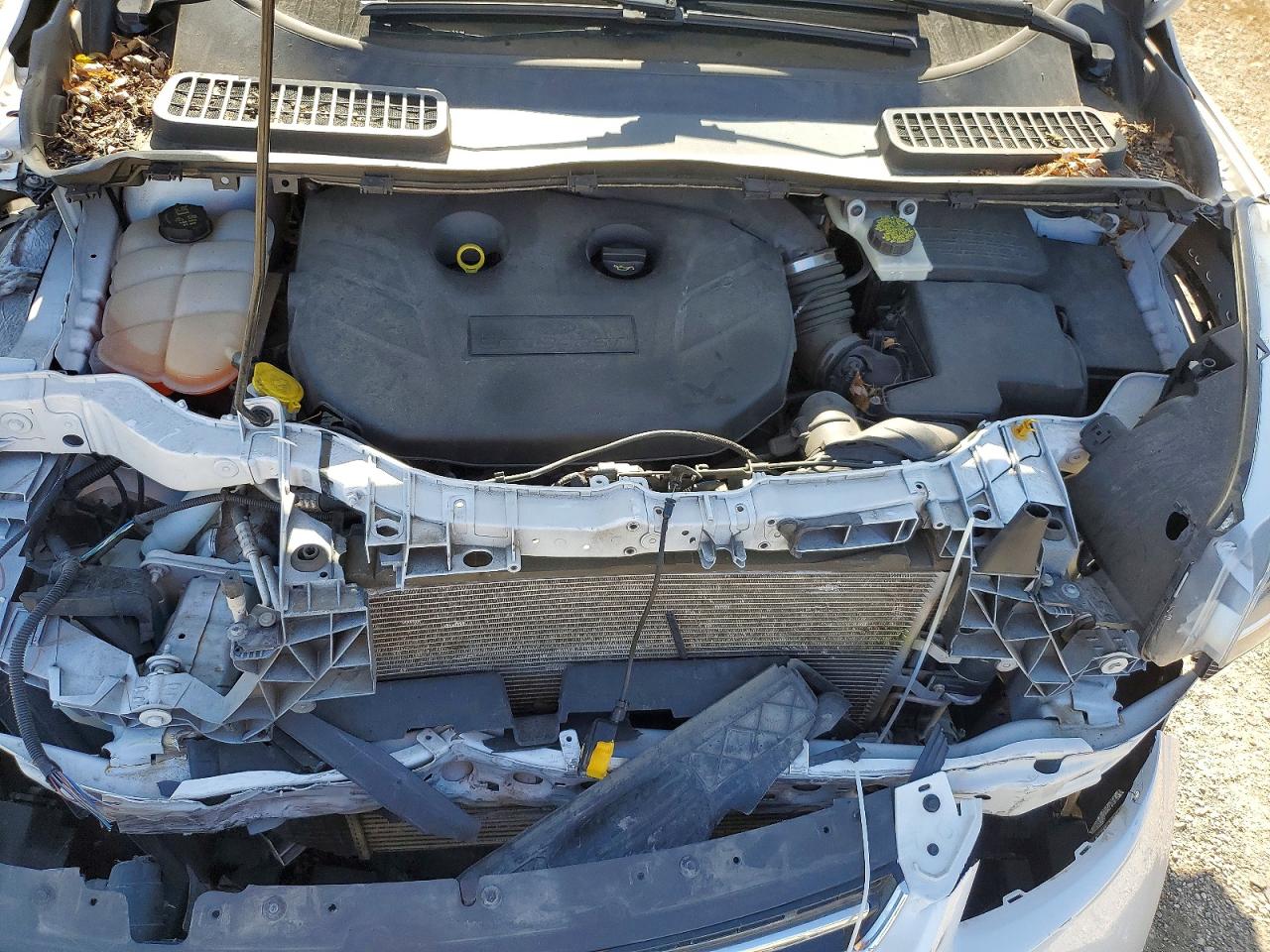 2014 FORD ESCAPE TITANIUM photo 11