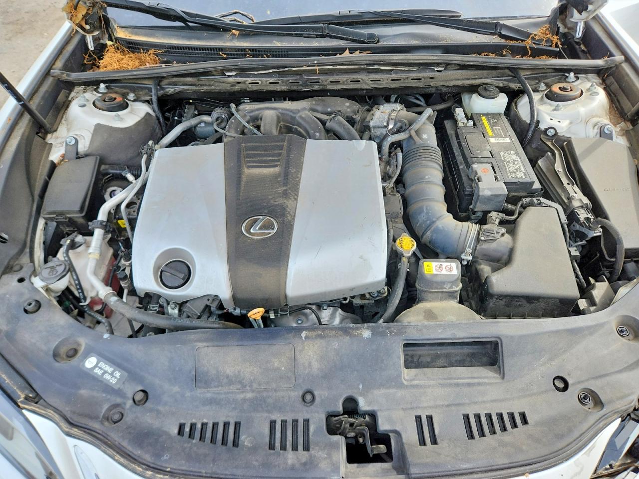 2020 LEXUS ES 350 photo 21
