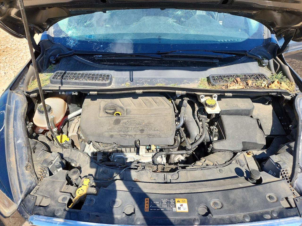 2018 FORD ESCAPE SE photo 31