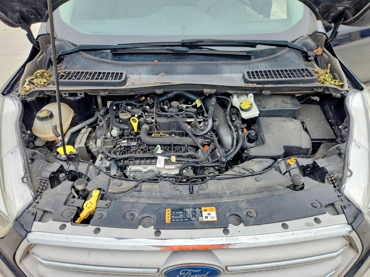 2019 FORD ESCAPE SE photo 23