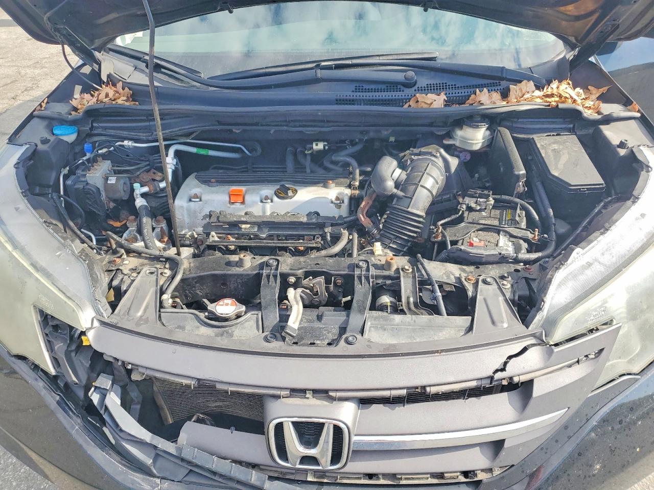 2014 HONDA CR-V LX photo 12